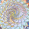 Cactus spiral No.1