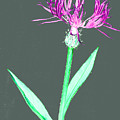 Cornflower3 T-shirt